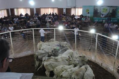 Leilão da Sociedade Rural de Laranjeira do Sul se destaca em todo o Paraná